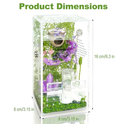 Image of Jumping Spider Enclosure,DIY Insects Habitat,Small Reptile Terrarium Glass House Accessories Set,with Jumping Bridge Hide Water Feeder (Purple)