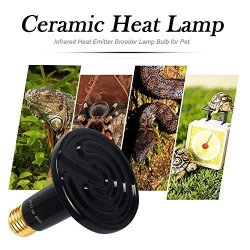2-Pack 100W Ceramic Heat Lamp with 1-pcs Digital-Thermometer, Infrared Heat Emitter Bulbs for Reptiles, Amphibians… - Image 6