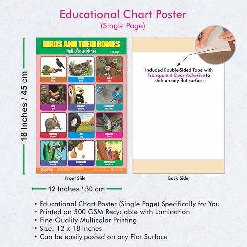 Image of ESCAPER Birds & Their Homes Educational Charts for Kids Learning, (11.5 x 17.5 inches), 300 GSM Paper Laminated, Self Adhesive Back Kids Study Material, Learning Chart, Educational Posters