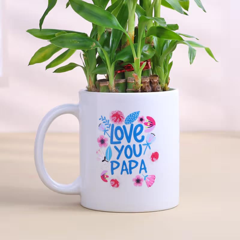 FlowerAura Live Indoor 2-Layer Lucky Bamboo Plant In Mug & Buddha Idol For Living Room, Balcony, Table Decor, Office & Home Decor | Air-Purify Indoor Greenery | Fathers Day For Dad (Same Day Delivery) 2
