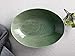Maxwell & Williams DR0316 Panama Oval Serving Dish in Gift Box, Stoneware, Kiwi Green, 32 x 23 cm