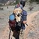 SLSON 2 Stück Hundenäpfe Faltbare Reiseschale, auslaufsichere Hundenapf mit Deckel und Haken Tragbare Silikon Trinkschale für Katzen,Hunde Wanderungen and Camping (1000ML, Blau und Grün)