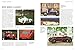 The Golden Age of Classic Cars: An Illustrated Encyclopedia of the Motor Car from 1945 to 1985