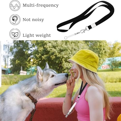 Design and Build of Professional Dog Whistle