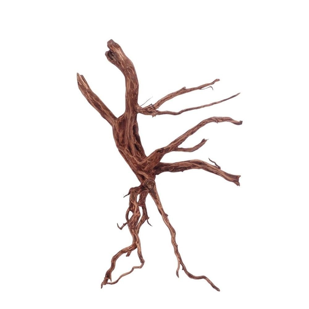 AquaOne XL Red Spider Wurzel Nr.4634 Aquarium Wurzel Moorwood Holz Deko Aquascaping Dekoration Landschaft Mangrove Moorkien Moos Natur Echtholz