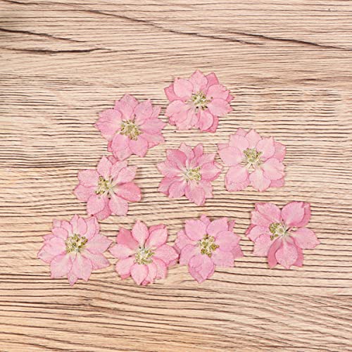 KALLORY Stickers Flores Secas 20 pz Decoración DIY miniatura 3