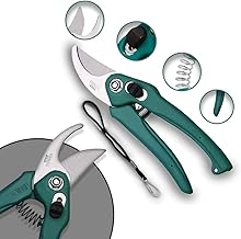 Premium Garden Shears Pruners Scissors for Cutting Branches, Flowers, Leaves, and Pruning Seeds - Carbon Steel Blade with Lock