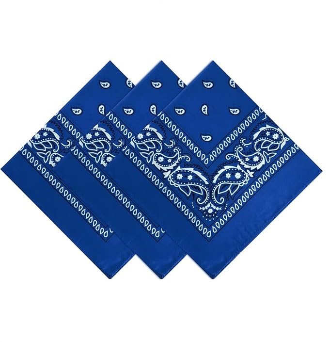 Image of SPIN CART Soft Breathable Cotton Paisley Bandana Handkerchief For Hair Head Bike For Men & Women