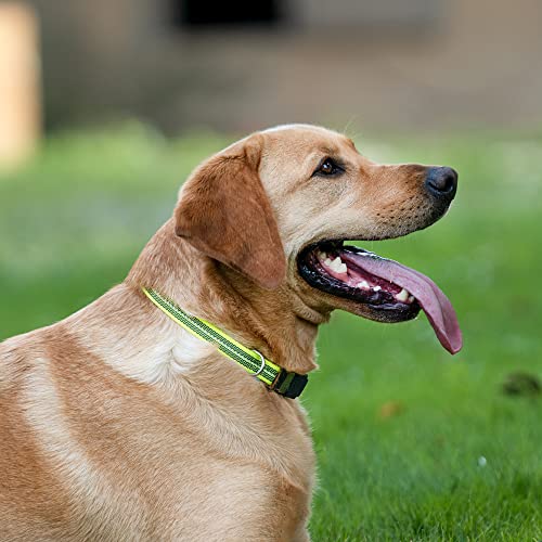 Verstellbares Halsband - reflektierend, neon gelb, 40-55 cm