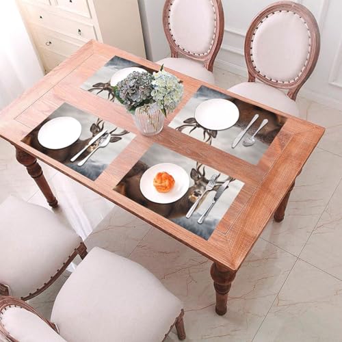 Sets de table antidérapants en PVC lot de 4 pour protéger la table des plats chauds - 8