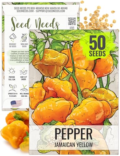 Seed Needs Jamaican Yellow Hot Pepper Seeds to Plant Heirloom 1 Pack