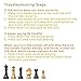 iCore Electronic Chess Set Pro Black : Voice Guide, 30 Levels, 100 Teaching Exercises, Learning Mode for All Ages