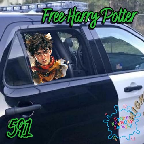 Stays Krunchy in Milk Episode 591: Free Harry Potter