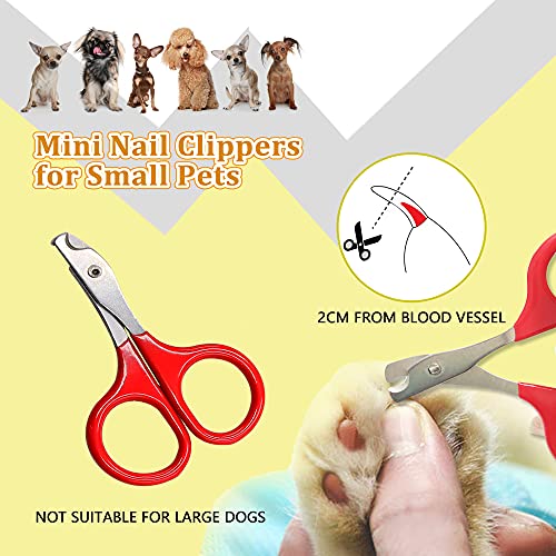 Food and Water Bowl for Hamster/Rabbit/Chinchilla/Guinea Pig Other Small Pets,Rabbit Guinea Pig Hay Feeder,Made from Non-Toxic, BPA Free Plastic and Minimizing Waste and Mess - Image 5