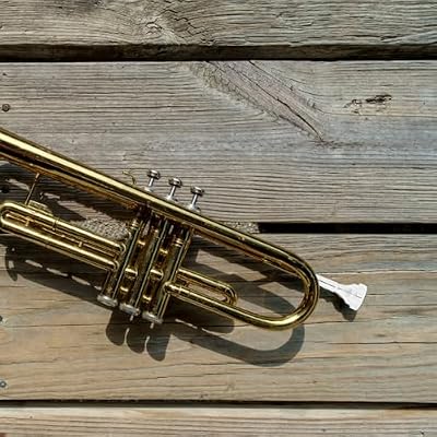 FOMIYES Silver Plated Brass Cornet Mouthpiece for B Flat Cornet Metal Replacement Part Labor-saving Design Suitable for Brass Instruments