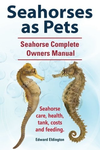 Can i put a seahorse in my reef tank