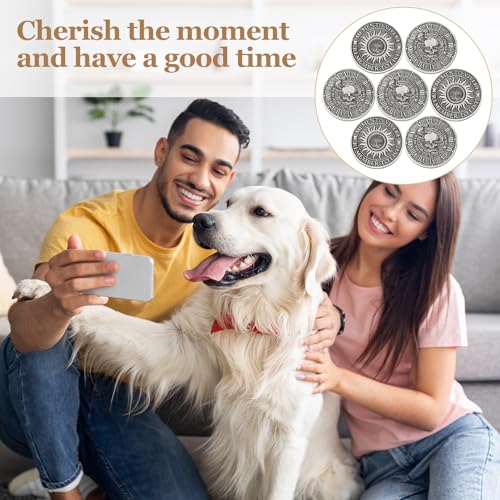 Image of Misdary 10 Pcs Souvenir Coin Mori Memento Vivere Reminder Token Metal Skull Challenge Coin Locket Stoicism Gift Challenge Reminder Pendant for Daily Practice Stoic (Style