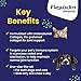Vetoquinol Flexadin Advanced Dog Hip and Joint Supplement with Undenatured Collagen, One Chew a Day Hip and Joint Support Chew for Dogs and Cats, Clinically Proven Vet-Approved Formula, 30 Chews