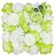 Green, White