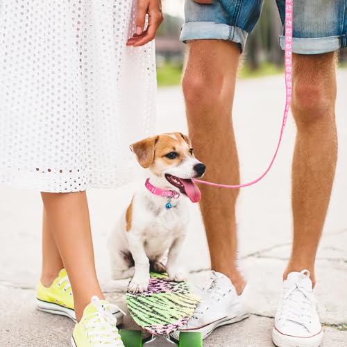 3 Stück Hundehalsband und Leine Set, Welpenhalsbänder mit Leinee, Verstellbares Hundehalsband mit Leine Weich Welpen Schnellverschluss Nylon Haustier Halsband für Kleine Hunde Mittlere