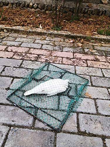 Pigeon Bird Trap Quail Sparrow Spring Starling Catching Net Traps for Trapping