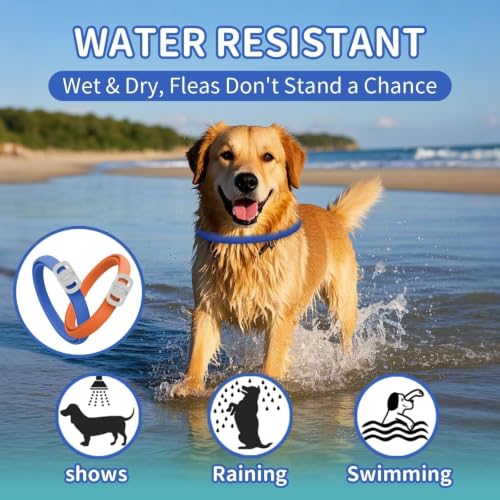 Image of Dog Flea and Tick Collar 4 Pack, Waterproof Adjustable Collar for Dogs and Puppies, 32-Month Prevention, Blue & Orange