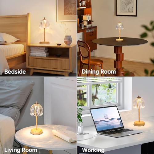 Image of Shenmoyl Tulip Table Lamp with 5200mAh Battery & Touch Control, Small Cordless Table Lamp with 3 Colors, Rechargeable Battery Operated Table Lamps for Bedroom, Desk, Bedside (Transparent-Beech Color)