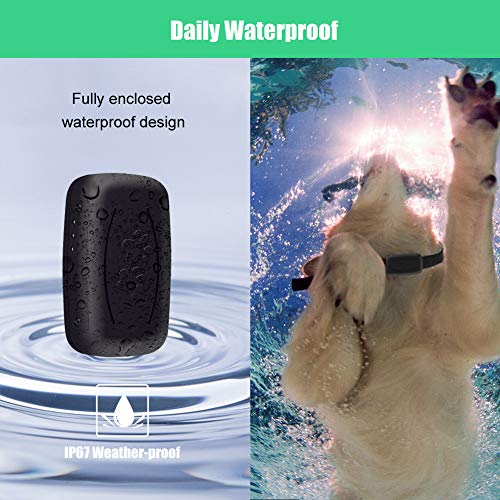 GPS Pet Tracker, Real-Time Locater & Activity Monitor, Cat Dog Tracking Device with Unlimited Range - Thumbnail 4
