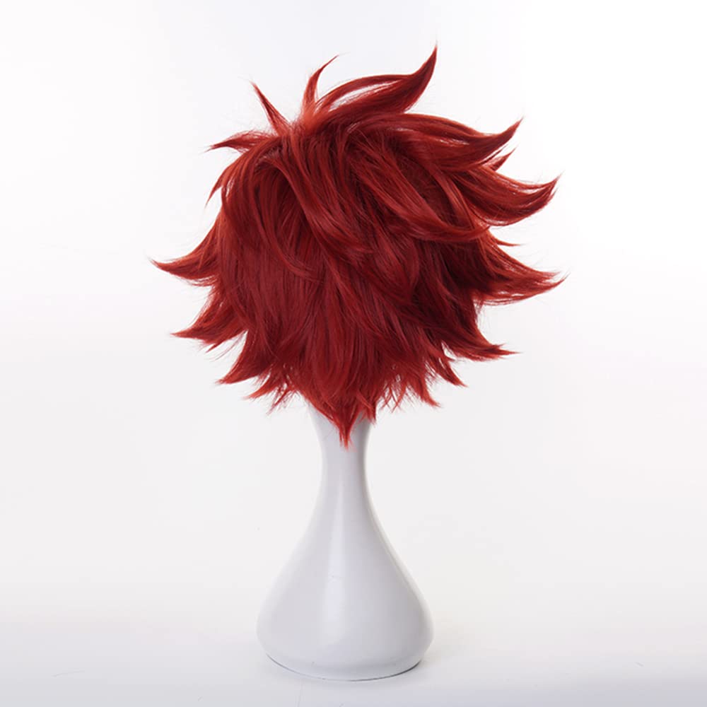 Dark Red Short Wig for Anime Straight Heat Resistan Synthetic Costume Hairs for Women Men Halloween Cos Anime Party Replacement Wigs - Image 4