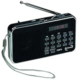 Mobiles Radio \'\'CT-3\'\' mit USB/SD-Card, FM-Radio, MP3, inkl. Li-Ion Akku
