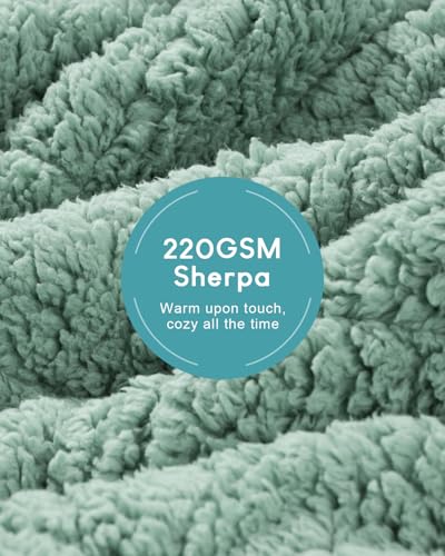 Image of Cottonblue Jacquard Weighted Blanket 15 lbs for Adults Queen Size, Ultra Soft Sherpa Fleece Blanket for Relax and Sleep, Cozy Comfort Heavy Bed Blankets with Glass Beads, 60x80 Inches, Sage Green