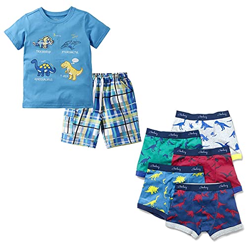 Gorboig Toddler Boy Clothes 4T Summer Outfits Short Sleeve Cotton Clothing Set T-Shirt&Shorts & Dinosaur Underwear