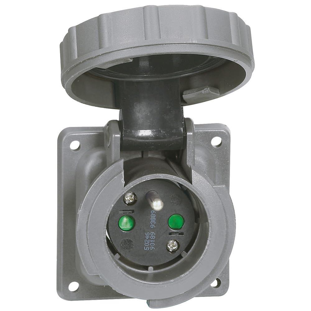 Prise de courant fixe à brochage domestique Hypra 2P+​T - 250V~ - IP66/​67-​55 - plastique
