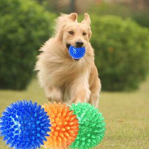 dog biting balls