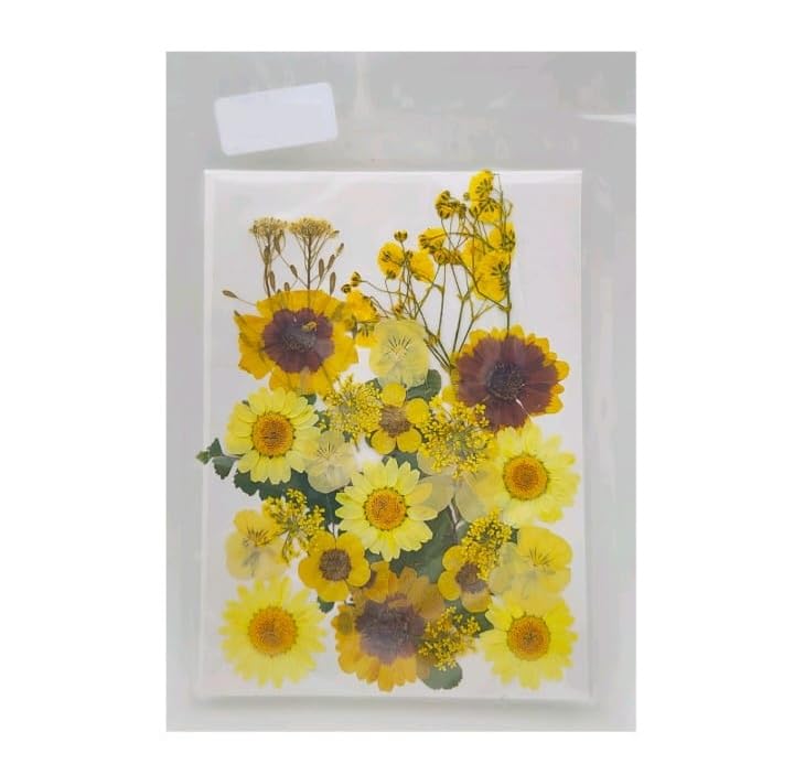 Pressed Dry Flower Sheet, Yellow Floral Arrangement, Natural Dried Flowers for Crafts and Decoration-image-11