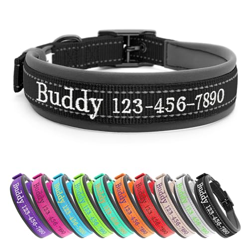 CHRYMPETIC Hundehalsband aus Nylon mit gesticktem Namen und Telefon, personalisierbar, reflektierender Streifen, weiches Neoprenfutter, langlebige Metallschnalle, passende Leine erhältlich