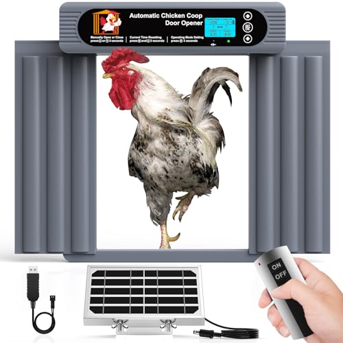 GROPOW Automatic Chicken Coop Door Extra Large Size Anti-Pinch Design Programmable Timer & Light Sensor Modes Large LCD Display Solar Powered Auto Chicken Door Opener (50000m)