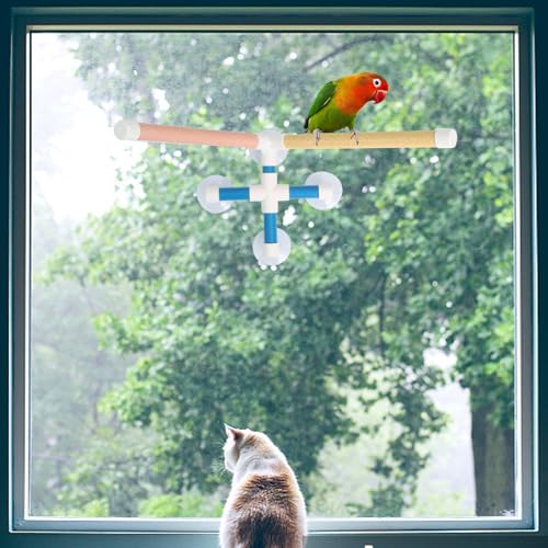 Doble barra de entrenamiento para aves pequeñas para evitar caídas 7