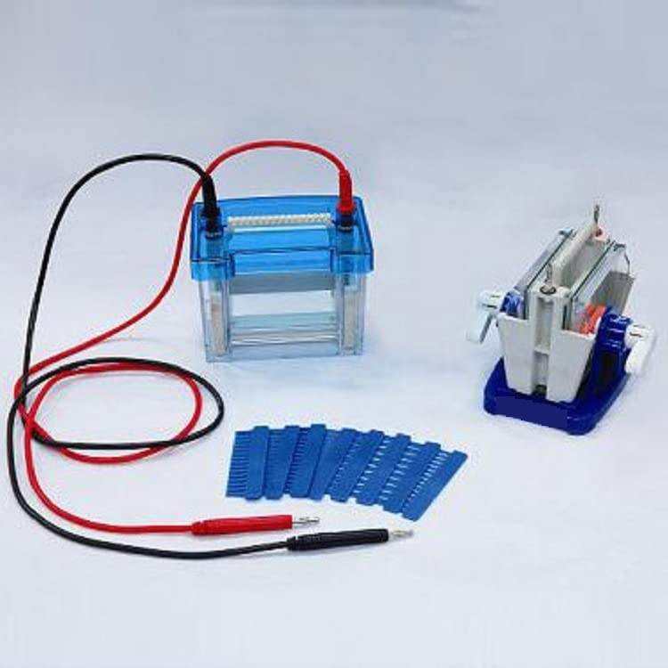 DYCZ-24DN Mini Aparat Do Elektroforezy Białek Mini Podwójny Aparat Do Elektroforezy Pionowej