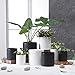 Greenaholics Black Ceramic Plant Pots - 6 Inch + 4.7 Inch Indoor Planters with Drainage Holes for Flowers Small Modern, Set of 2