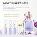Csdtylh Mini Spray Bottle, Clear Plastic Empty Sample Containers, Fine Mist Perfume Travel Refillable Spray Bottle Perfume Atomizer Small Portable Bottle for Cleaning, Travel, Essential Oils(60, 3ml)