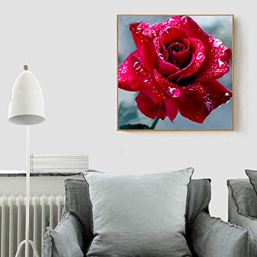 Rosa Rossa 5D DIY Diamond Painting Fiori Kit