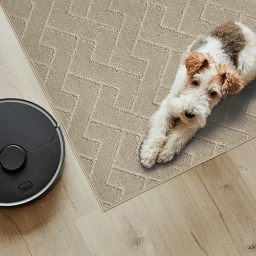 PURRUGS Easy Care Area Rug 4.5ft x 7ft, Non-Slip Machine Washable Entry Rug, Dog Door Mat, Stain Resistant Accent Rug for Hallway, Bedroom, Living Room and Mudroom, Taupe