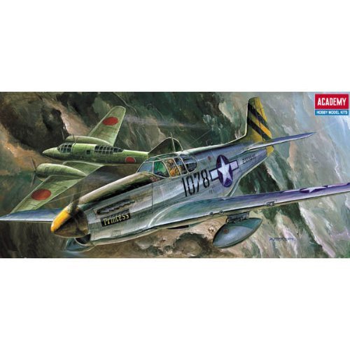 P-51 mustang 値段提示お願いいたします Amazon | P-51/F-6 Mustangs With the Usaaf - European Theater