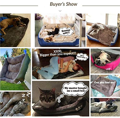 Xmiral Cuccia Cane Animale Letto Gatti Letto