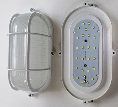 Synergy 21 LED IP65 5 vatios CW lagerpoint luz oval