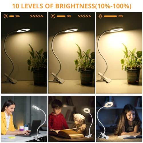 image for Woputne Desk Clip on Lamp for Reading Home Office, with 5V 2A Adapter,