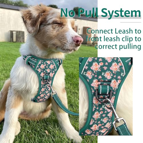 Image of HEELE Dog Harness, Reflective, No Pull No Choke, Flower Grass Green, S | Front Clip for Small Dog Harness, 2 Metal Rings with Handle, Adjustable, Soft Breathable Padded Pet Vest for Night Walking