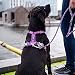 DOG Copenhagen Hundegeschirr - Comfort Walk Air Version 2 - Brustgeschirre für Hunde, Black, M