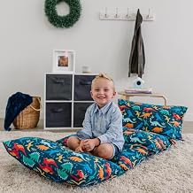 Wildkin Microfiber Pillowcase Lounger Cover Travel-Friendly Sleepover Lounger, Fits Standard Pillows Pillows Not Included, Soft Cotton Blend, Fun Patterns for Kids - Jurassic Dinosaurs